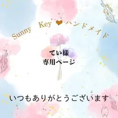 てい様専用②　硬質ケースフルオーダー1点＋リボンチャーム1点