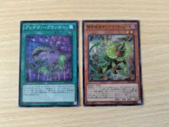 【匿名配送】遊戯王OCG　プレデター・プランター & 捕食植物サンデウ・キンジー