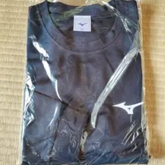 【新品】MIZUNO トレーニング長袖Ｔシャツ 2XL