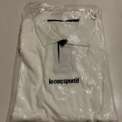 Item thumbnail for item b2cb0b00-2f2e-4bb1-99cc-869c319eea54