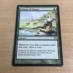 MTG 垣間見る自然 Glimpse of Nature 英語版