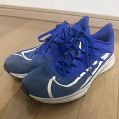 NIKE ライバルフライ