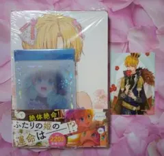 ある日、お姫様になってしまった件について 12