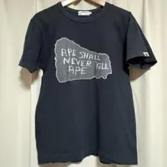 アーカイブ アベイシングエイプ NIGO期 石版ロゴプリントTシャツ 