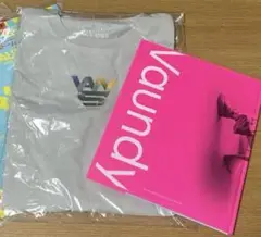 vaundy ミュージシャン