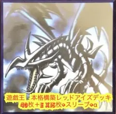 2607】遊戯王 本格構築！EXデッキ完備！原石青眼デッキ ブルーアイズ