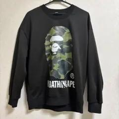 Item thumbnail for item 18dc2a45-96d6-48ca-810d-a01afef01797