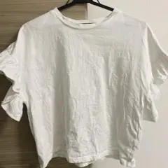 Item thumbnail for item 275128af-9899-4ffd-9747-2d7ab76be4cc