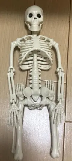 ガイコツ　マスコット