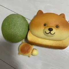 スクイーズ セット