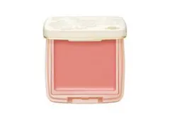 ポールアンドジョー　クリーミィブラッシュ（リフィルのみ）2個セット