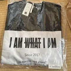 Item thumbnail for item ba138e6a-1a7d-4479-81a6-63017322b7b0