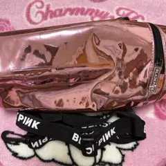 2026年最新】blackpinkペンライトケースの人気アイテム - メルカリ