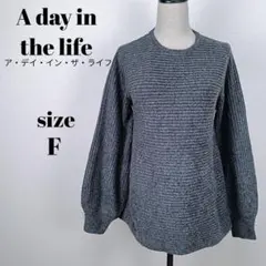 【a2115】A day in the life 美品 ペプラム ニット Fのサムネイル