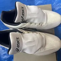 Item thumbnail for item 7b41ba42-473e-4130-921f-ab3416b2d42c