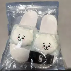 BT21 RJ キャラクター スリッパのサムネイル
