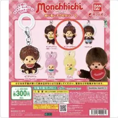 モンチッチ めじるしアクセサリー2 ちむたん 2種セット - メルカリ