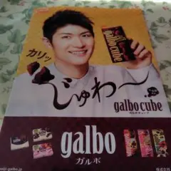 三浦春馬クリアファイル