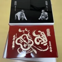 Item thumbnail for item b507068e-13d4-42f5-bdd4-1ffa23c05a01