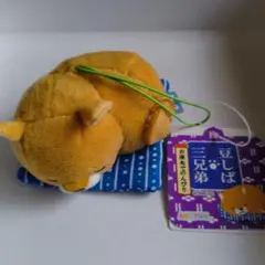 豆しば三兄弟 お座布でのんびり VMC ぬいぐるみ