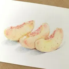 色鉛筆画　カットフルーツ桃　手描き原画のサムネイル