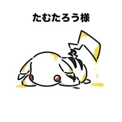 たむたろう様 リクエスト 6点 まとめ商品