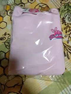 ミニーのファンダーランド トレーナー ミニパル ミニファン