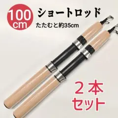 2本セット、フィッシング100cmコンパクトロッド　短竿　ショートロッド　釣り竿