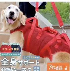 Item thumbnail for item b50a4f9b-40cf-46fe-aeb2-316359233357