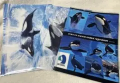 Item thumbnail for item f0a8ed54-9ba3-49a3-894b-d2ee6a4c37dc