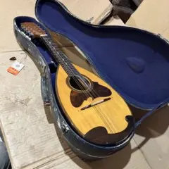 BlueBell ブルーベル フラットマンドリン FM-25 富士弦楽器製 - メルカリ