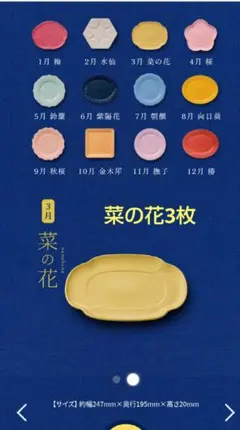 金麦 花やか皿 3月 菜の花 3枚セット