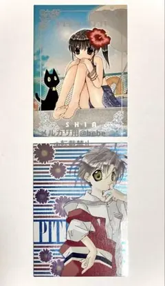 ぴたテン 94枚トレーディングカード セット 2025年最新】ぴたテン カードの人気アイテム - メルカリ