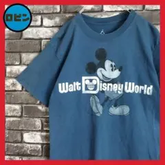 ウォルトディズニーワールド ミッキーマウス キャラクター Tシャツ tシャツ 紺
