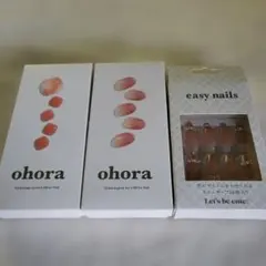 EVER NAIL FigCream ネイルチップ 10個 - メルカリ
