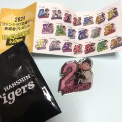 2025年阪神タイガースFC応援デーシークレットピンズ20種類コンプリート 2025年阪神タイガースFC応援デーシークレットピンズ20種類