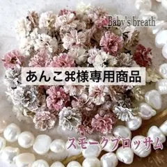 あんこ⌘様専用商品♥️ かすみ草ドライフラワー スモークブロッサム 他計2点