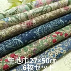 Item thumbnail for item d5187069-b563-4769-8322-b23362e9d936