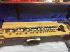 Item thumbnail for item 2f95df63-4ee2-4b39-b2cc-56ef2326a7c2