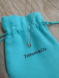 TIFFANY&Co. バイザヤード アクアマリンネックレスのサムネイル