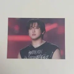 Stray Kids The dominATEExperience特典チャンビン