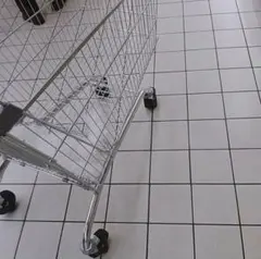 china様専用ページ✧