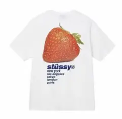 早い者勝ち！stüssy ストロベリー Tシャツ ホワイト