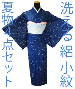 「値下げ交渉ＯＫ！」夏物 洗える ポリエステル 絽 小紋 セット Ｂ１８０