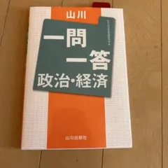 山川　政治経済　一問一答