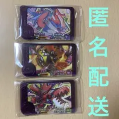 ポケモン　フレンダ　ベストタッグ２弾　ボーマンダ　カプ・コケコ　ハッサム