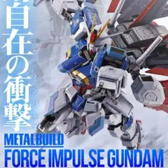 METAL BUILD フォースインパルスガンダム