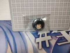 鋼の錬金術師 ナンジャタウン 缶バッジ ロイ - メルカリ
