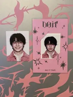 Stray Kids do it IDフォト 通常 アコーディオン アイエン