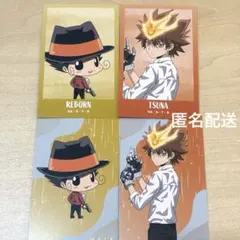 家庭教師ヒットマンREBORN 沢田綱吉 リボーン　戦う背中 雨